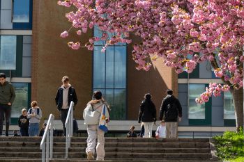 Pink blossom on a tree in the foreground as students make their way up a set of stairs on campus