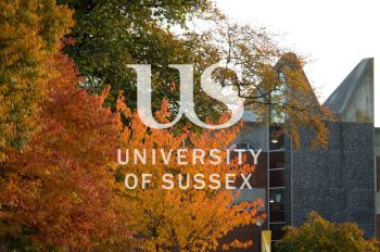 Autumn trees with building in background