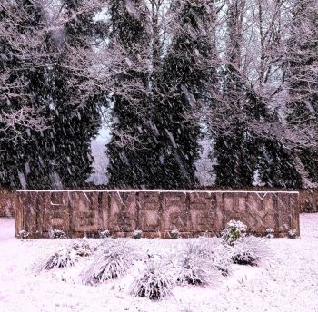 The University of Sussex Logo Board at the start of the campus covered in snow.