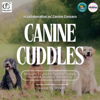 A group of four dogs sitting on grass, with text reading 'Canine Cuddles' in bold, accompanied by the logos of Canine Concern, Spirit of Sussex Award, and Student Wellbeing. Caption reads: 'Brought to you by Spirit of Sussex Award & Student Wellbeing.