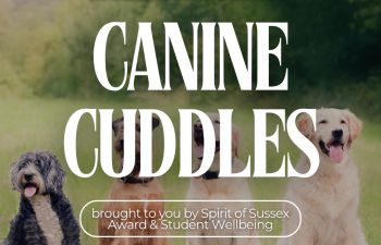 A group of four dogs sitting on grass, with text reading 'Canine Cuddles' in bold, accompanied by the logos of Canine Concern, Spirit of Sussex Award, and Student Wellbeing. Caption reads: 'Brought to you by Spirit of Sussex Award & Student Wellbeing.