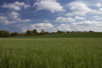 Image of open countryside