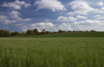 Image of open countryside