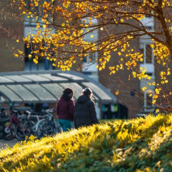 Two people on campus with grass, a tree and university teaching building in the background