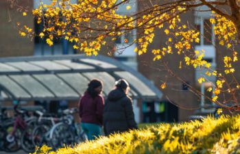 Two people on campus with grass, a tree and university teaching building in the background