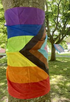 Image of the LGBTQ+ progress flag and the trans flag wrapped around trees