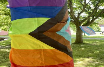 Image of the LGBTQ+ progress flag and the trans flag wrapped around trees