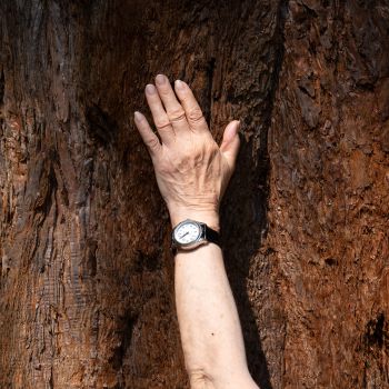 A photograph of a feminine hand with slight wrinkles placed against the warm wooden background of a large tree trunk. The arm reaches up through the bottom of the image in a simple black strap watch. Natural light shows the rippled texture of the trunk.