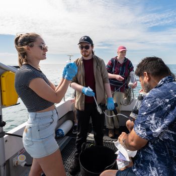 This photo from the exhibition depicts researchers inspecting biodiversity off the Sussex coast