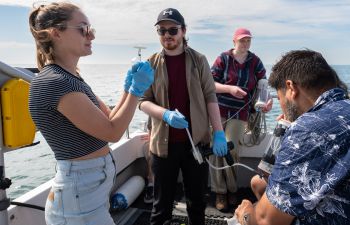 This photo from the exhibition depicts researchers inspecting biodiversity off the Sussex coast