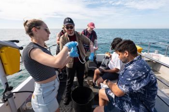 Researchers at work on the project 'Documenting the Recovery of the Sussex Inshore Ecosystem'