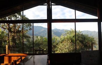 The view from a community-led reserve in the cloud forest specialising in scientific tourism, ecological fieldwork studies and ecotourism. Photo: Sam Nurney