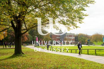 University of Sussex path leading to Falmer house with trees.