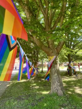 LGBTQ+ pride flag bunting stretched out between trees