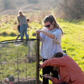 Two females work to secure fencing around young plants in the Forest Food Garden.