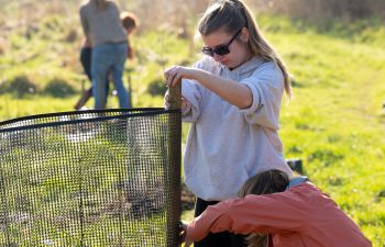 Two females work to secure fencing around young plants in the Forest Food Garden.