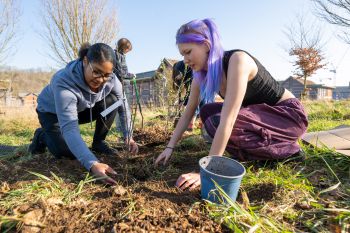 Two females - one Asian and one white with long purple hair - kneel at a planting site having transferred a young plant from a plot into the ground.