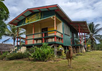 The Wanang Clinic in Papa New Guinea