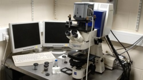 Imaging : Wolfson Centre for Biological Imaging : Sussex Centre for ...