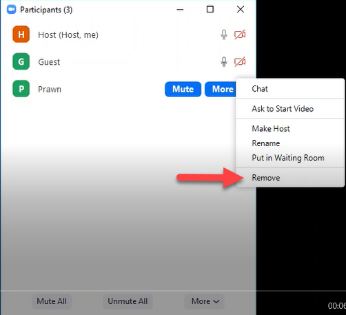 Zoom- Remove Participant