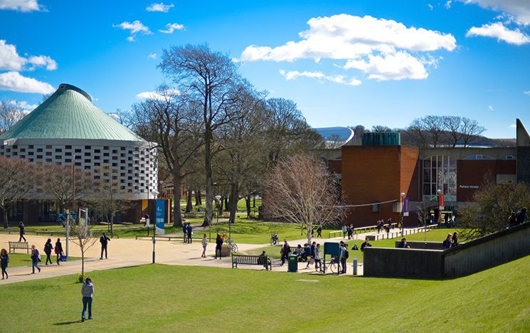 Picture of Sussex campus on a sunny day
