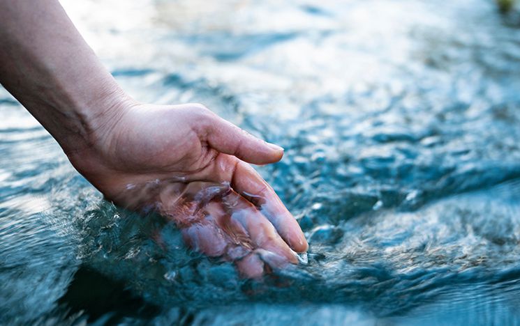 A hand dipped in a body of water