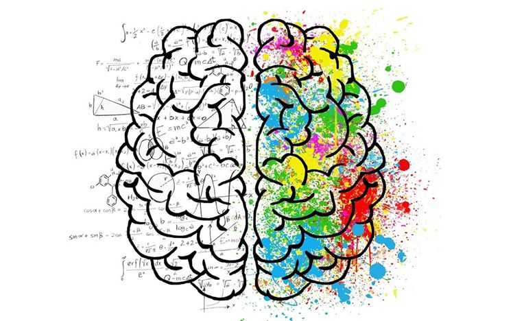 brain with maths in left hemisphere and colours in right