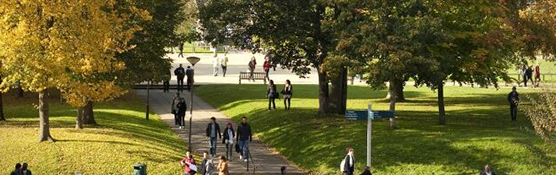 Trees on campus with students walking along the paths.