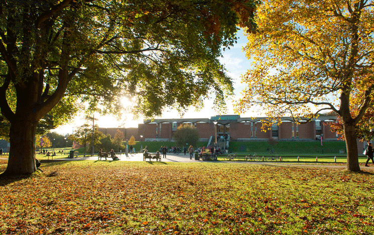 View of the Library from the front with trees and grass in foreground