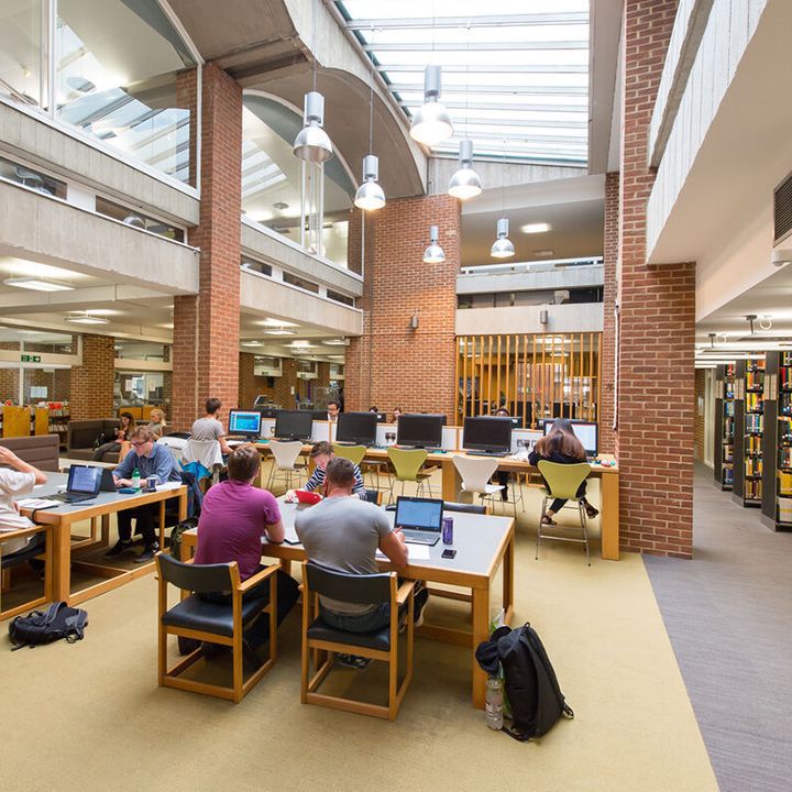 Students sitting in the library