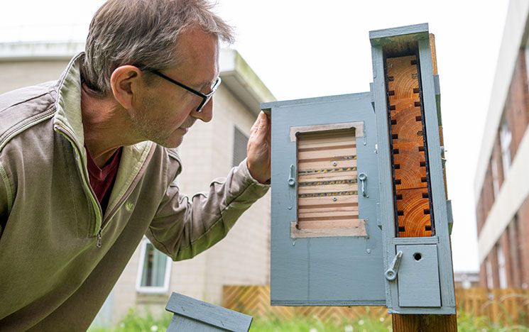 Professor Dave Goulson examines a bee box on the Sussex campus