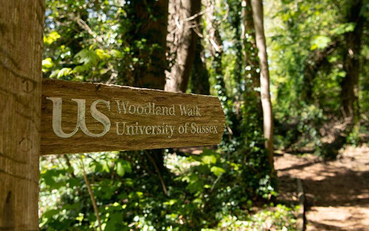 Wooden signpost for woodland walk