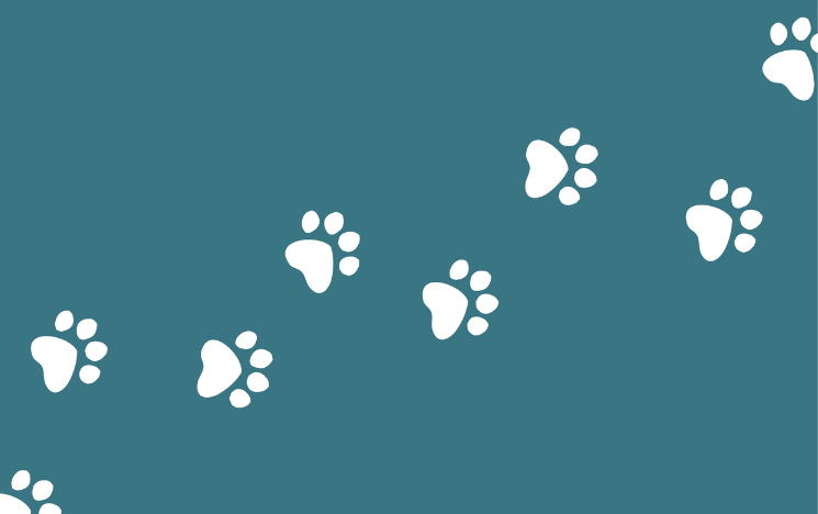 Illustration of a trail of paw prints.