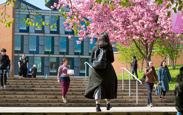 Students walking down the steps outside a campus building. A pink cherry blossom tree blooms on the lawn.