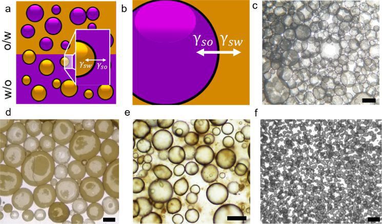 illustrations of nanosheet surfaces