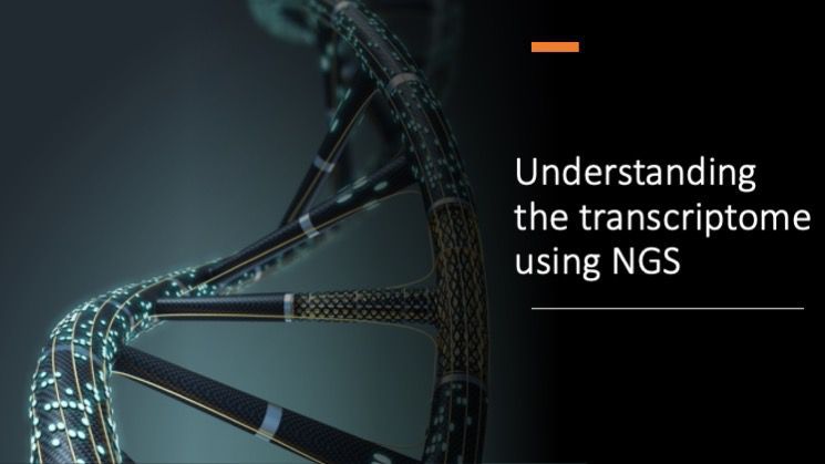 Understanding the transcriptome using NGS image