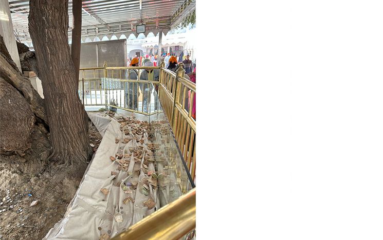 Donations around Baba Buddha Ber in Harmandir Sahib complex