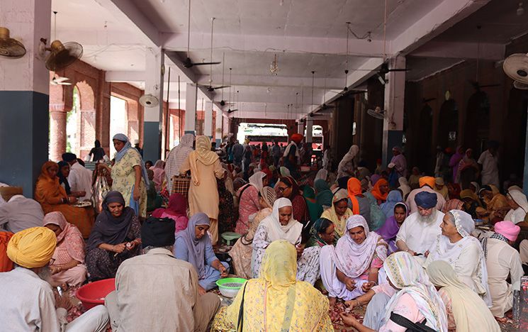 Seva (selfless service) with the preparation of vegetables for communal meals (langar) at Harmandir Sahib complex