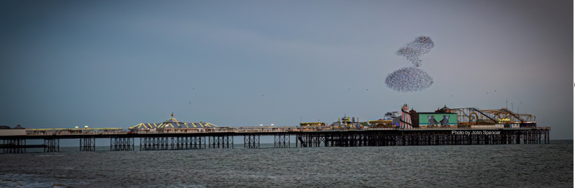 The Palace Pier in Brighton