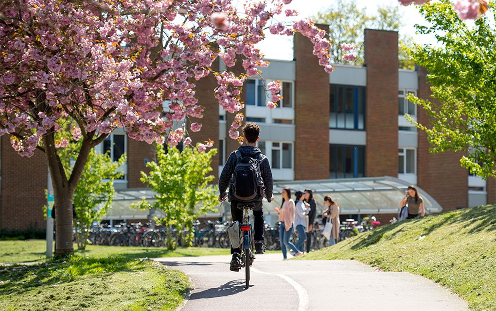 Student riding a bike across campus