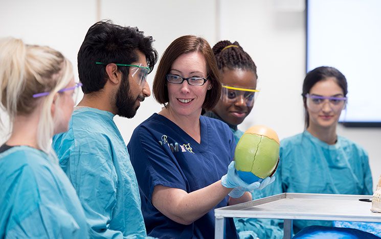 Students working with a teacher. The teacher is holding a human anatomy prop