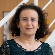 Professor Sumita Verma