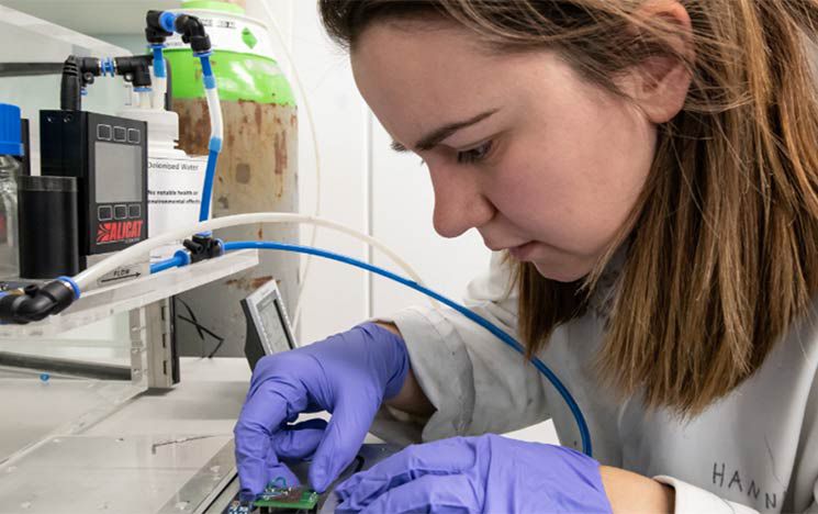 A PhD student working in a lab