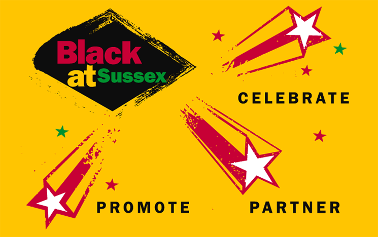 The Black at Sussex logo in a black diamond on a yellow background surrounded by three stars with the words Celebrate, Promote and Partner